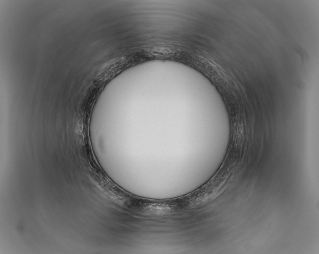 X0000111170749200907221027