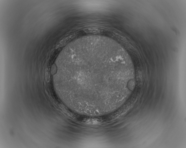 X0000111170751200907221028