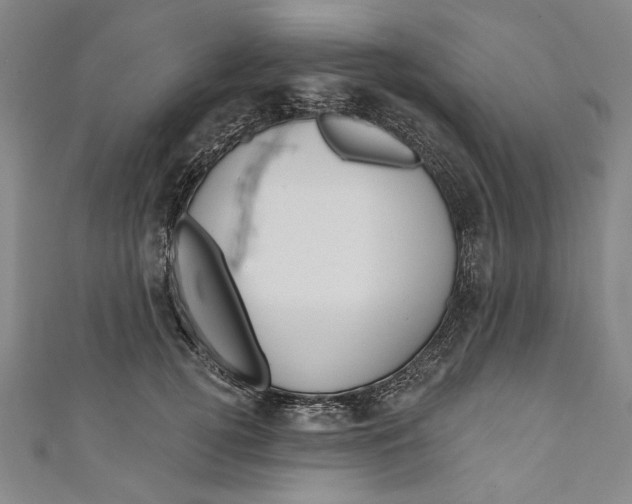 X0000111170752200907221028