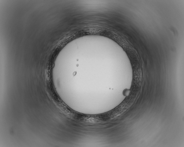 X0000111170755200907221028