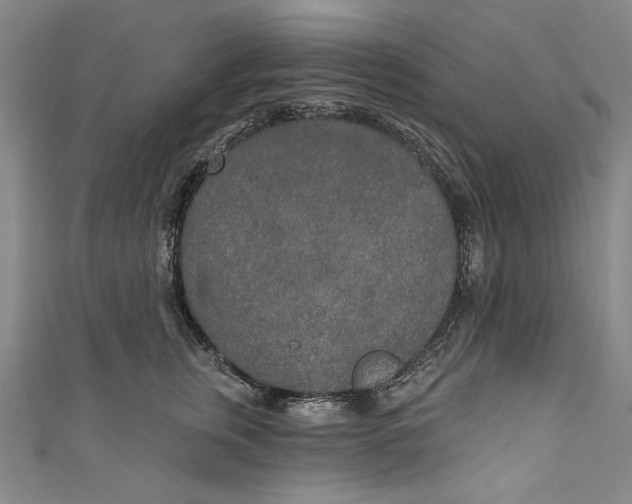 X0000111170759200907221028