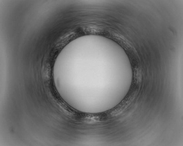 X0000111170760200907221028