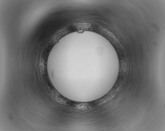 X0000111170761200907221028