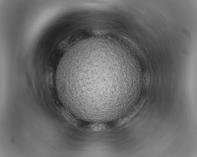 X0000111170762200907221028