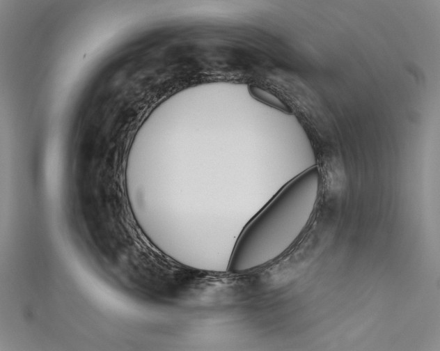 X0000111170764200907221028