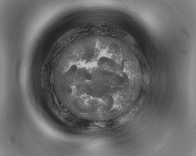 X0000111170765200907221028