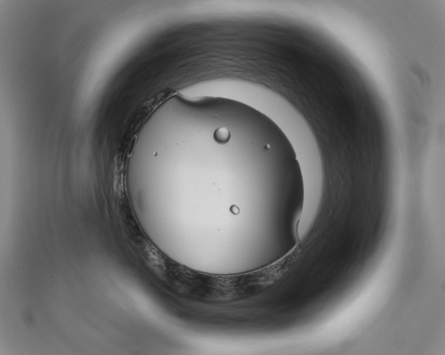 X0000111170766200907221028