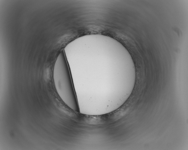 X0000111170768200907221028