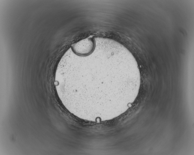 X0000111170769200907221027