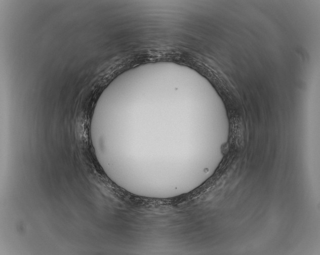 X0000111170770200907221027