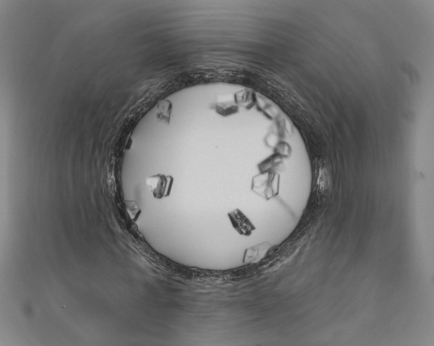 X0000111170771200907221027