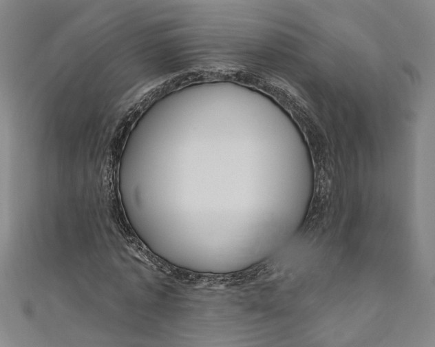 X0000111170773200907221027