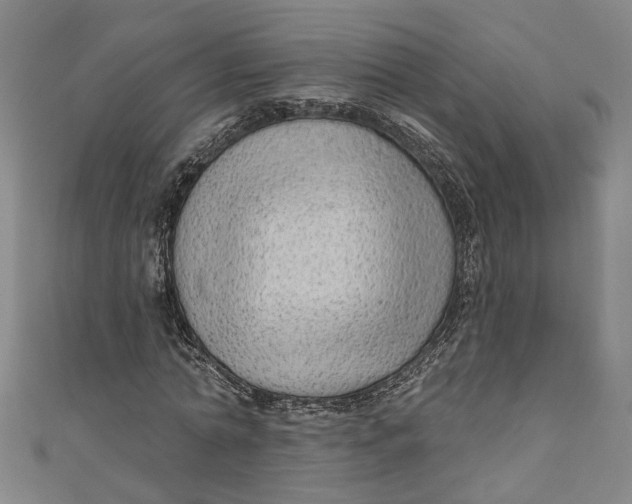 X0000111170774200907221027