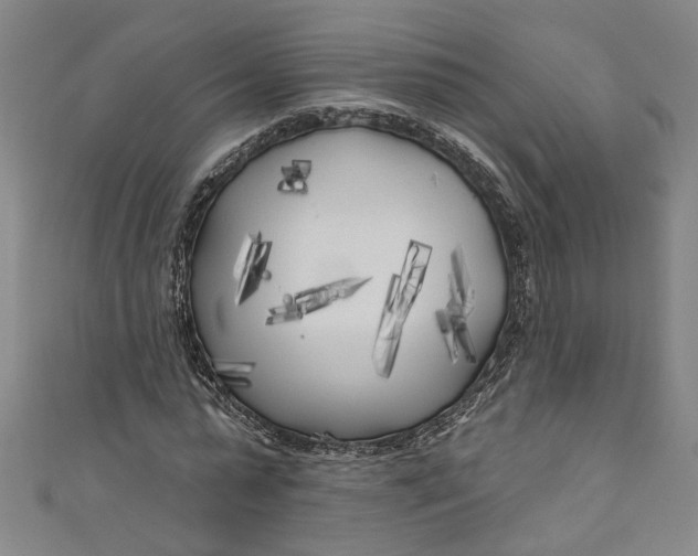 X0000111170775200907221027