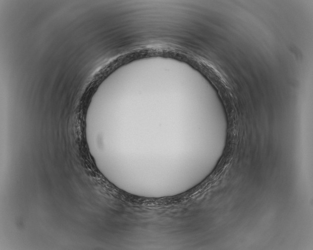 X0000111170776200907221027