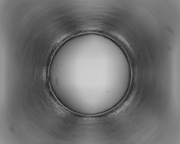 X0000111170777200907221027