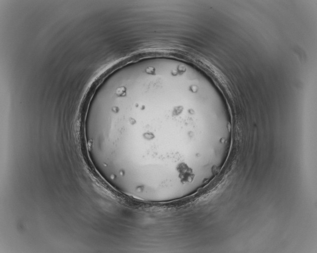 X0000111170779200907221027