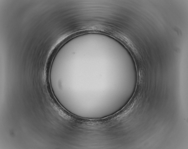 X0000111170780200907221027