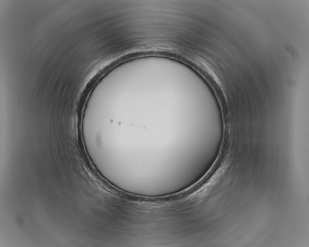 X0000111170781200907221027