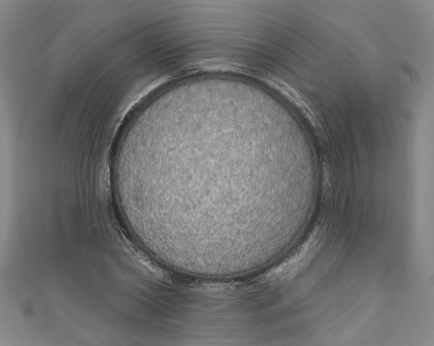 X0000111170782200907221027