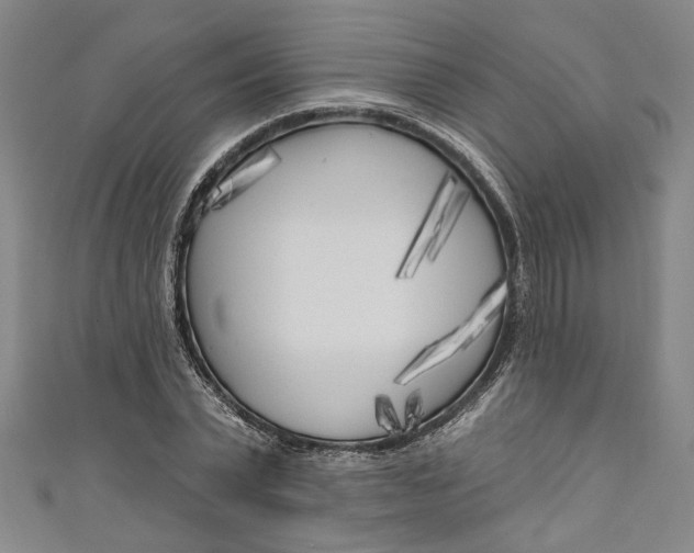 X0000111170783200907221027