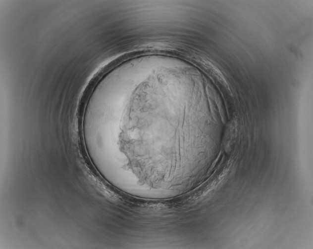 X0000111170784200907221027