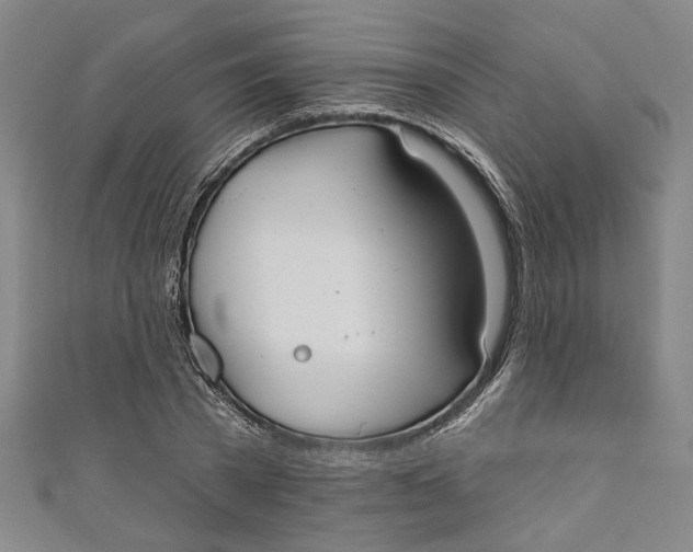 X0000111170785200907221027