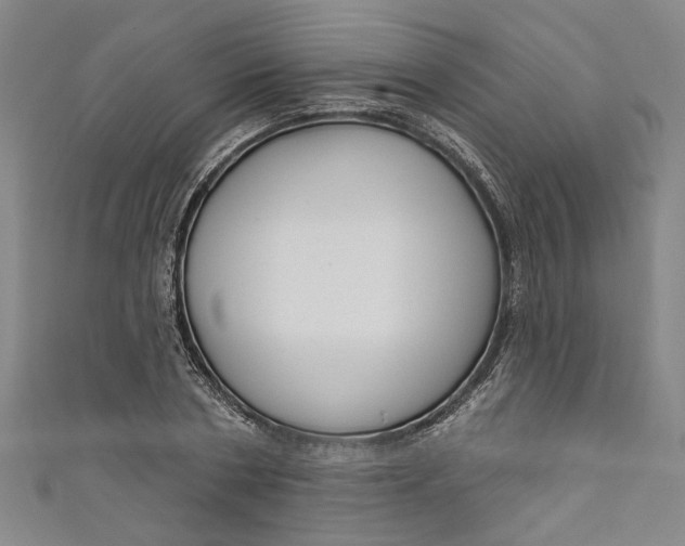 X0000111170786200907221027