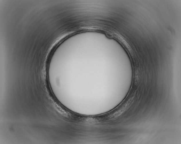 X0000111170787200907221027