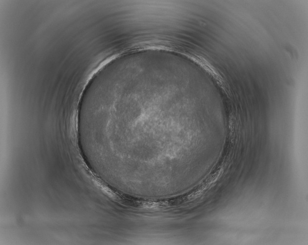 X0000111170790200907221027