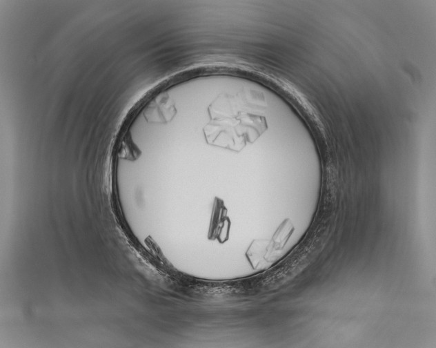 X0000111170791200907221027