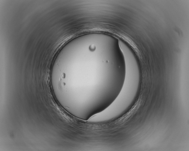 X0000111170793200907221027