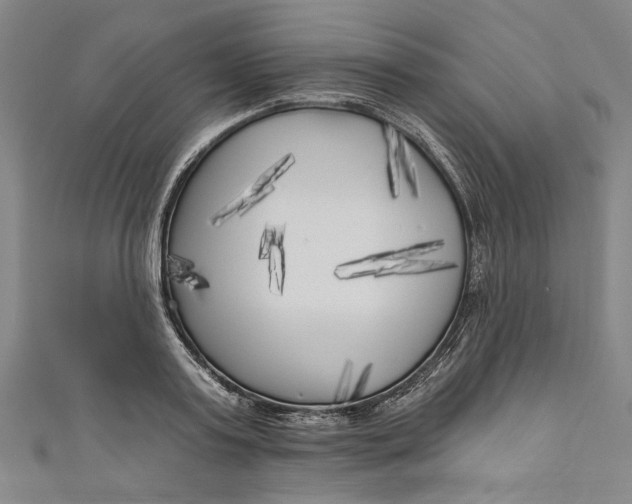 X0000111170795200907221027