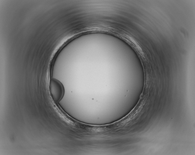 X0000111170796200907221027