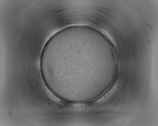 X0000111170797200907221027