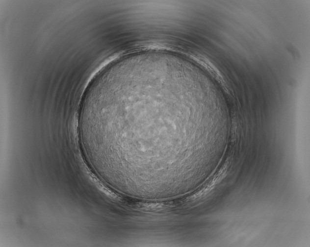 X0000111170798200907221027