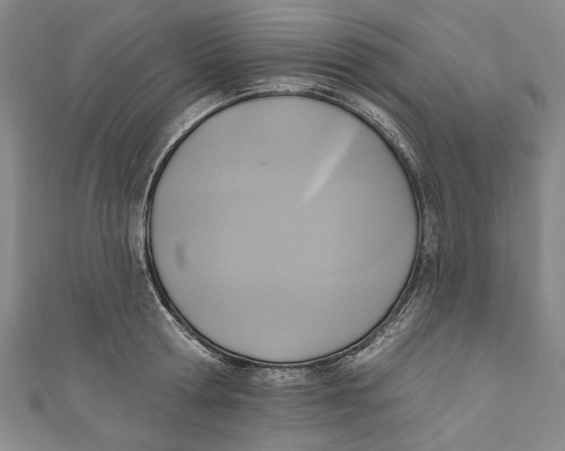 X0000111170802200907221027