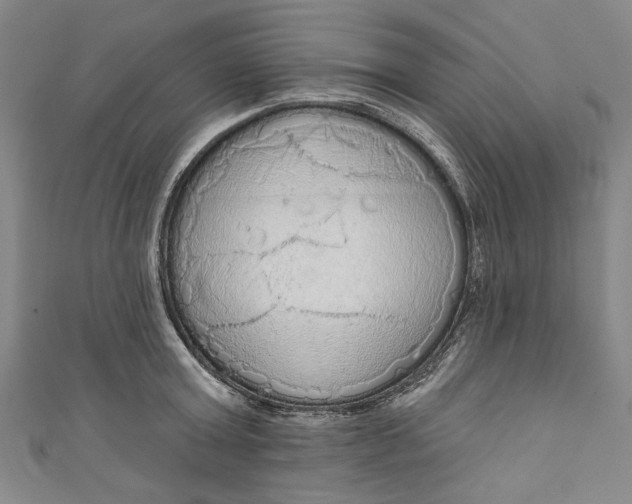 X0000111170803200907221027