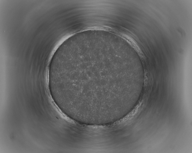 X0000111170804200907221027