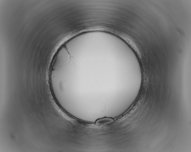 X0000111170805200907221027