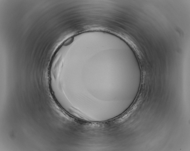 X0000111170806200907221027