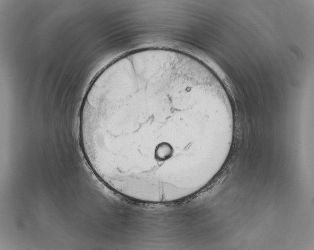 X0000111170807200907221027