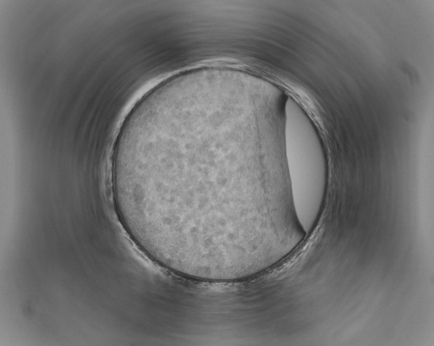 X0000111170808200907221027