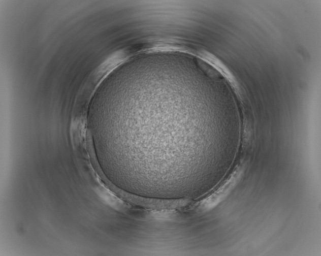 X0000111170809200907221027