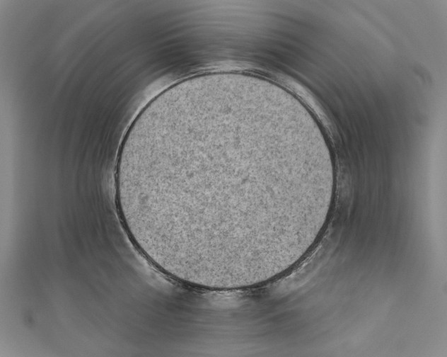 X0000111170810200907221027