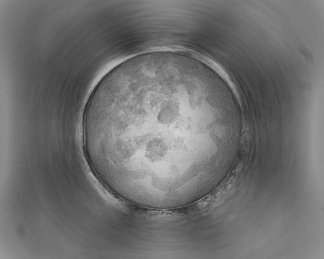 X0000111170811200907221027