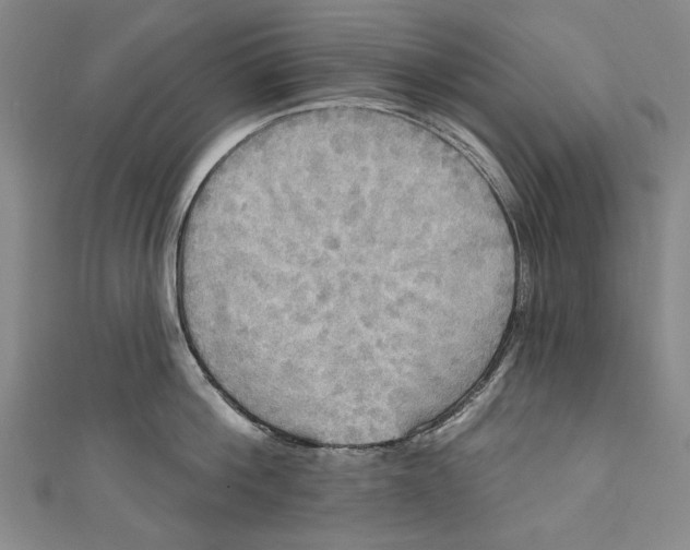 X0000111170812200907221027