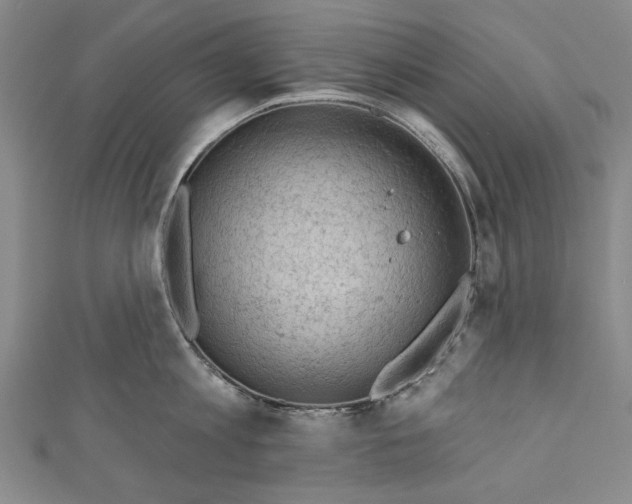 X0000111170813200907221027