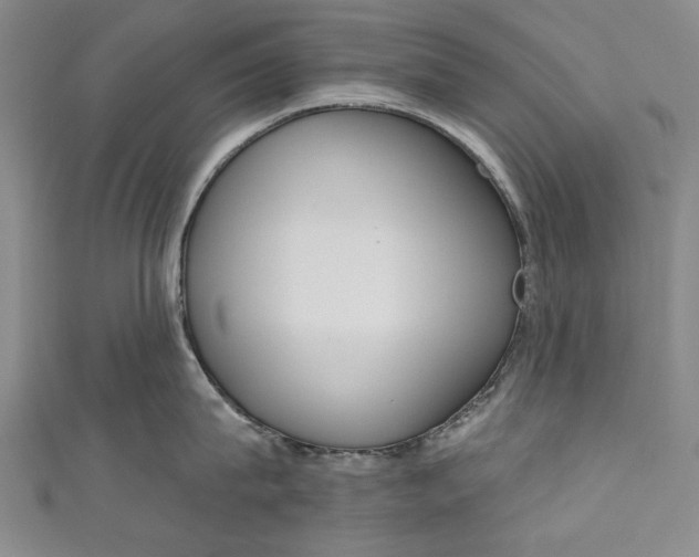 X0000111170815200907221027