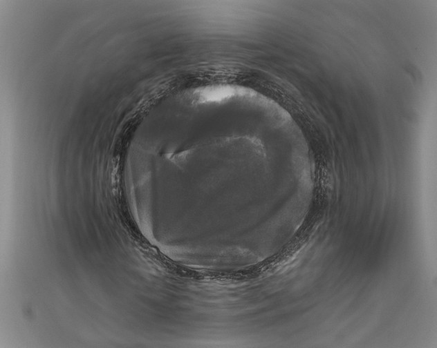 X0000111170818200907221026